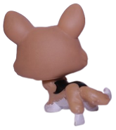 #0639 Corgi